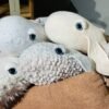 Peluche Baleine BigStuffed